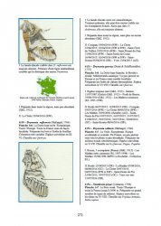 Nouveau catalogue des Lépidoptères de Charente-Maritime - Volume 1 {JPEG}